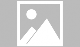 疯人院漫画,疯人院漫画中的荒诞与真实